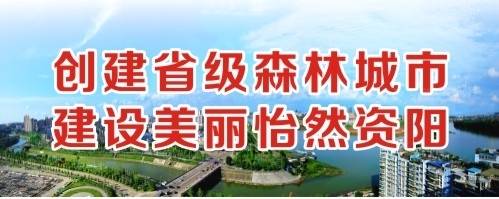 日女人屄视频创建省级森林城市 建设美丽怡然资阳